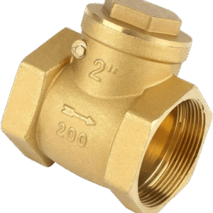 Check Valve