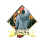 Picture.png8-removebg-preview